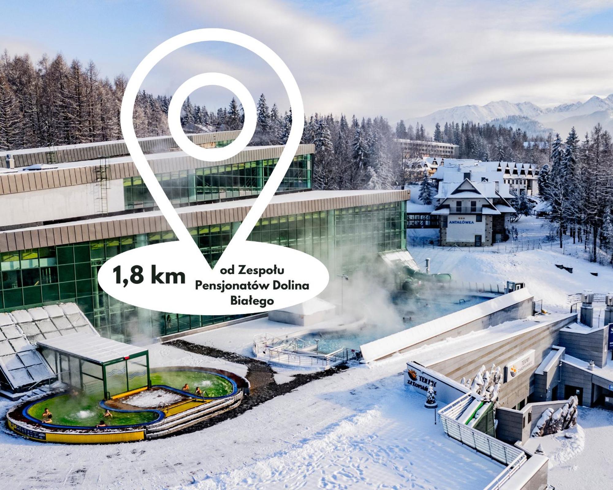 Pensjonat Telimena Zakopane Eksteriør bilde