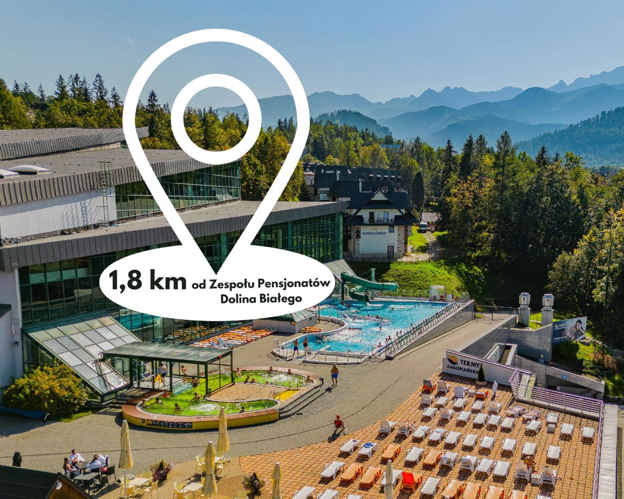 Pensjonat Telimena Zakopane Eksteriør bilde